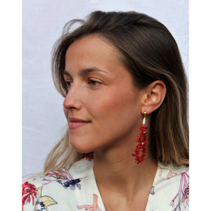 PENDIENTES CORAL REEF